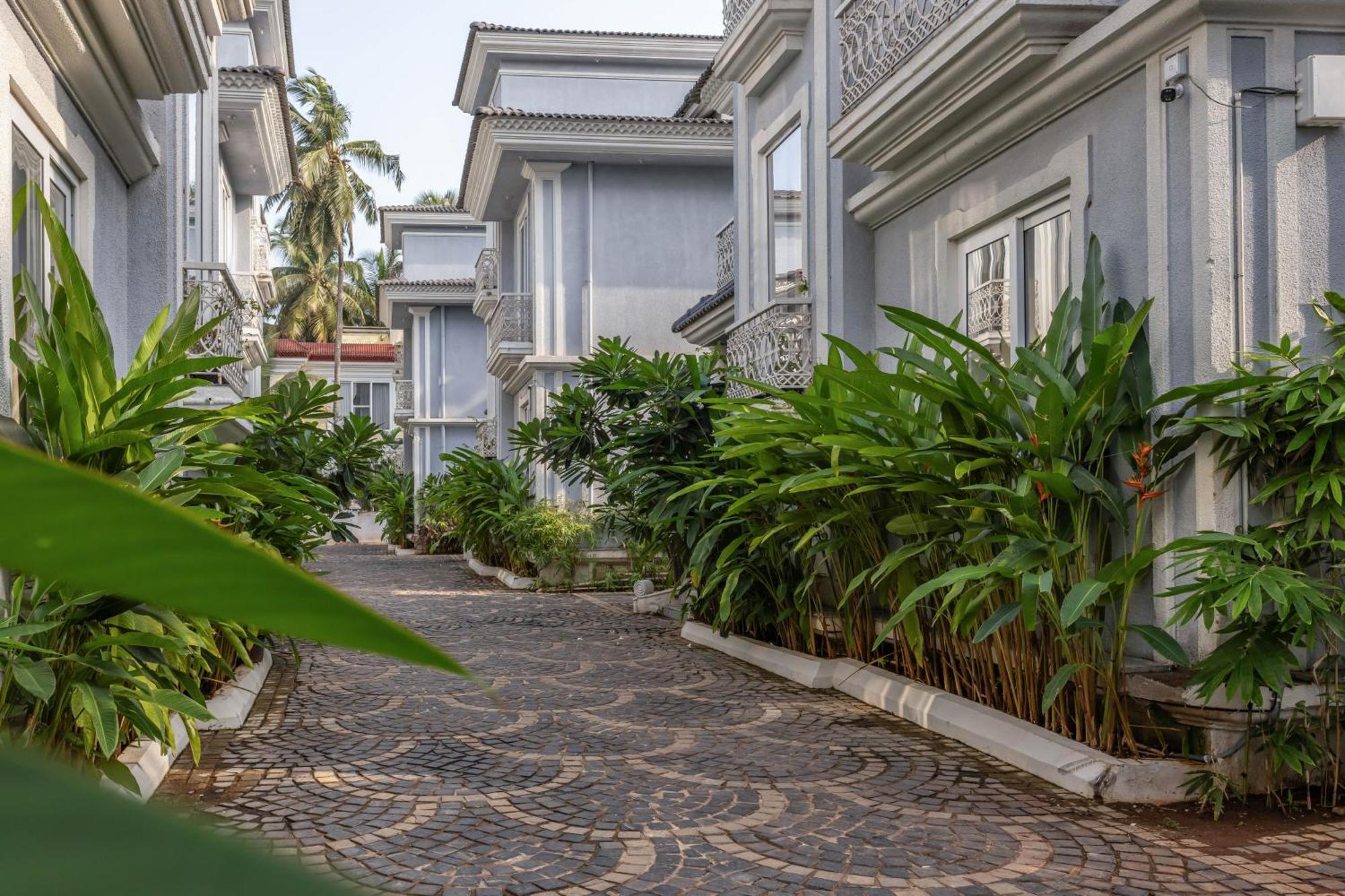The Hornbill Villa - 3Bhk With Pvt Pool In Saligao 외부 사진